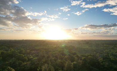 Sunny sunset over green jungle
