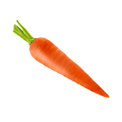 Carrot 