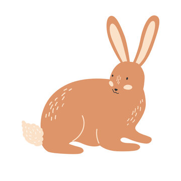 Rabbit Or Hare Illustration