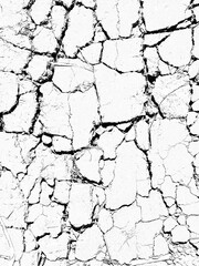 Ground cracked texture. Natural dry land pattern