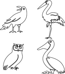 set of bird vector file 