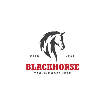 Horse Stallion Canter Logo Design Vector Image