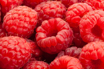 raspberry group macro closeup detail