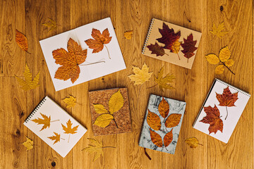 Autumn herbarium, frame with fall leaves. Autumn background with open paper notebook with dry maple leaves on wooden background. Flat lay. Top view.