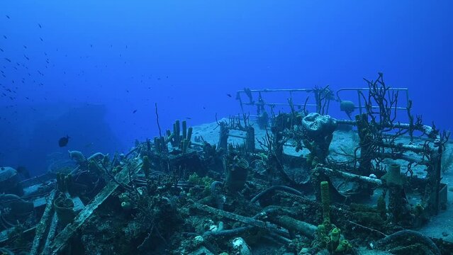 Fish and marine life thrive amongst the wreckage of a sunken ship in Cayman Brac. The Russian vessel was sunk deliberately to promote such bustling underwater life.