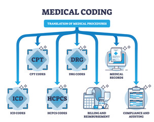 Medical coding and translation of medicine health procedures outline diagram. Labeled educational scheme with diagnosis, equipment and services information alphanumeric codes vector illustration.