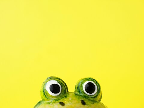 Frog toy eyes closeup and copy space