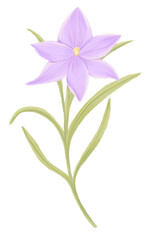 Fototapeta na wymiar Hand drawing flower illustration 