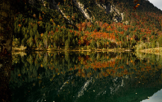 Herbst Spiegel