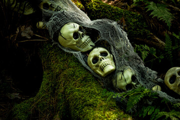  Halloween decorations in a gloomy dark forest. Skull and skeletons in a dark forest.