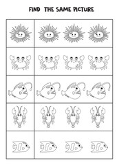 Find two the same sea animals. Black and white worksheet.