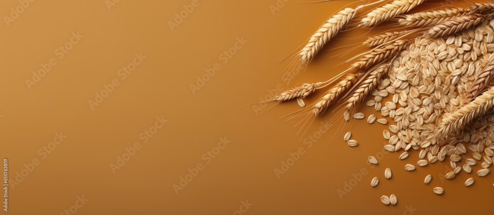 Poster oats on table isolated front view isolated pastel background copy space