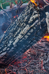 Close up view of burnt log in campfire, with red embers