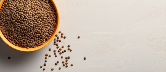 Lentil bowl on a textured backdrop isolated pastel background Copy space