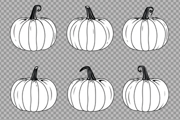 Vector black and white pumpkins set collection isolated on transparent background Vintage style vegetables design elements Farm gardening cooking dessert and halloween concept retro realistic pumpkins