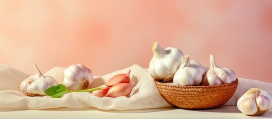 Obraz na płótnie Canvas Garlic press on a isolated pastel background Copy space near basket with fresh garlic