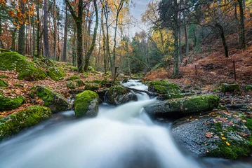 Fotobehang Autumn landscape, stream of the Canencia mountain pass, Madrid © NumenPhoto