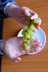 The hands of an elderly woman holds a small brush of white seedless grapes
