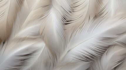 Close-up of pastel soft white bird feathers print background. Backdrop for fashion, textile, print, banner