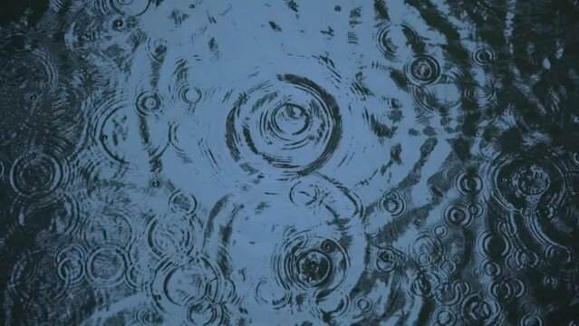水面の波紋を俯瞰する