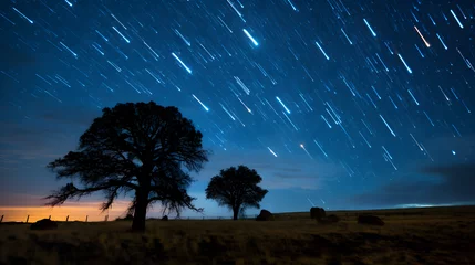 Fotobehang Mesmerizing view of a meteor shower lighting up the night sky © JJ1990