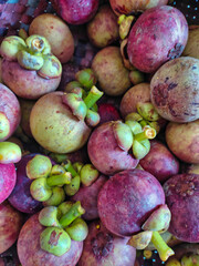 Fresh mangosteen organic Thai fruit , Just picked from the tree