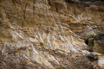 2023-09-14 JAGGED ROCK FORMATION ALONG THE WALKING TRAILS AT TORREY PINES NEAR THE GLIDER PORT AND LA JOLLA CALIFORNIA