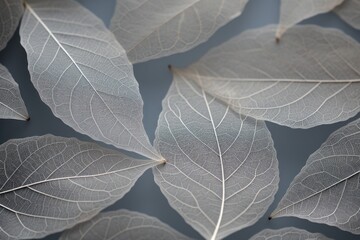 Close up of grey leafs  on a gray background. Nature and environment concept. Generative Ai