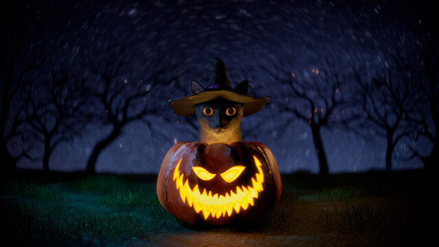 halloween black cat with hat and pumpkin 3d, halloween 3d, halloween cat, halloween pumpkin