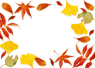 透過フレームー秋の紅葉落ち葉