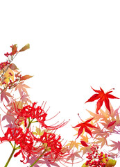 透過フレームー秋の彼岸花と紅葉（縦）
