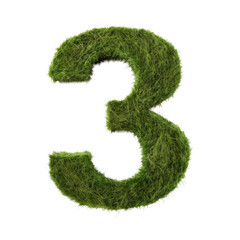 green grass forming number three, 3, alphabet text font character isolated on white in nature, growth and eco environment concept.