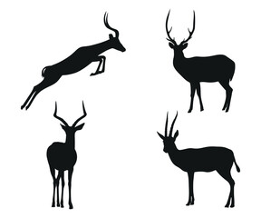 Deer silhouette, deer silhouette vector,
Collection of silhouettes of wild animals - the deer family