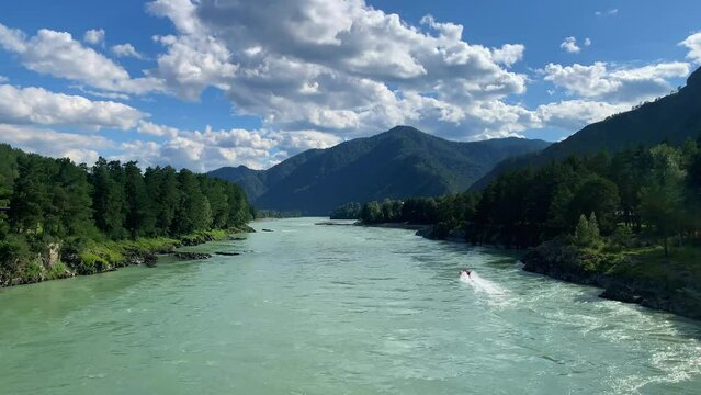 A wide, full-flowing mountain river with a fast current. Large stones stick out of the water. The large turquoise-colored mountain river Katun in the Altai Mountains, Altai Republic.