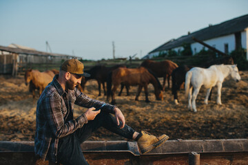 A young man with a phone in his hands on the background of a paddock with horses. A man rests after a day's work on the farm, sunset.