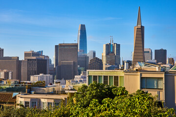 Downtown San Francisco city view from Telegraph Hill on bright summer day