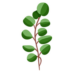 Branch of plant illustration.