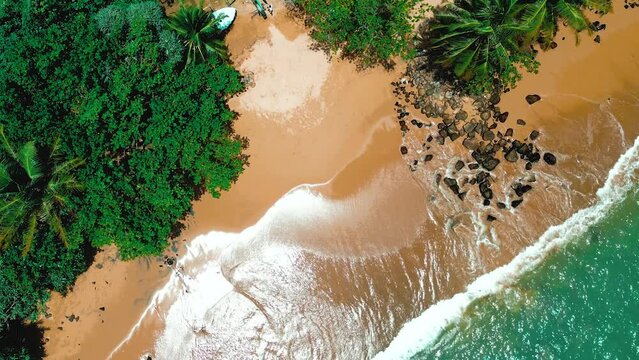 Gorgeous aerial view beach by the jungle. Ideal for travel, nature, and scenic content. Discover the beauty from above.
