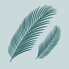 green branches of coniferous Christmas tree