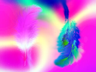 Obraz premium abstract colorful background with colors, image Gradient colorful feather on green blue background, pink green and blue tone abstract background 