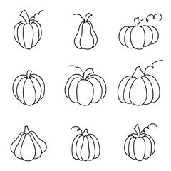 Outlined pumpkin. Set of pumpkins in doodle style. Vector illustration on white background