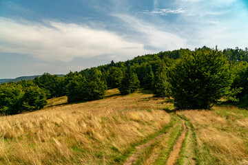 On the tourist trail.