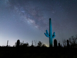 saguaro cactus milky way sunrise  © Denise