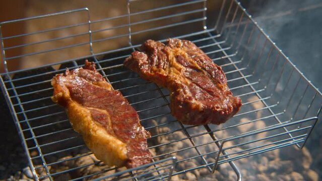 Close-up of juicy pieces of meat on grill and coals. Stock footage. Juicy grilled meat on grill in nature on sunny summer day. Two pieces of grilled meat with barbecue
