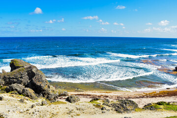 Landscape View to beach in and stone Barbados, Country in the Caribbean