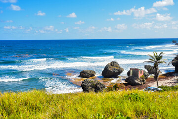 Landscape View to beach in and stone Barbados, Country in the Caribbean