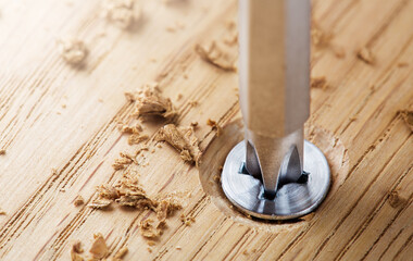 screwdriver screw in a wood oaks plank - obrazy, fototapety, plakaty