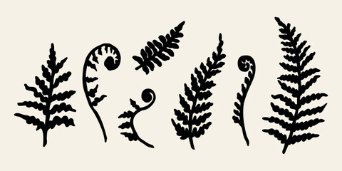 Flat vector fern branch illustration	 - obrazy, fototapety, plakaty