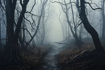 Fototapeten Wald mit gruseligen Bäumen - Halloween Nebel Dunkel © FJM