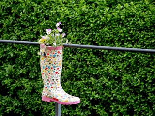 colorful rubber rain boot filled with flowers